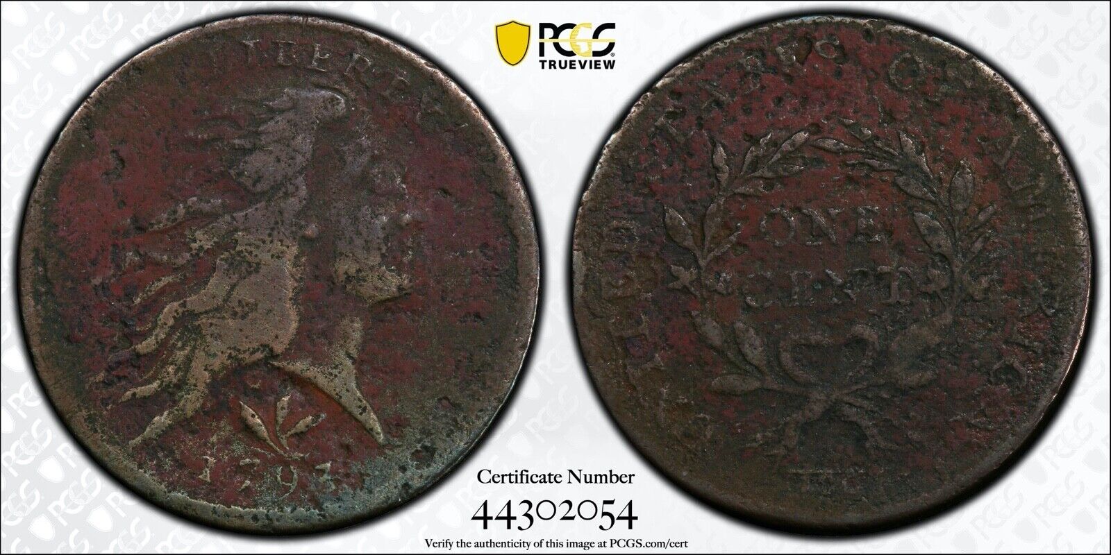 1793 S-9 Vine and Bars Edge Flowing Hair Copper Large Cent PCGS VF Detail