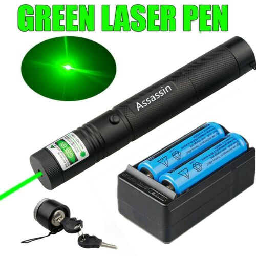 1mw 900Miles 532nm Green Laser Pointer Lazer Pen Visible Beam+Batt+Dual Charger